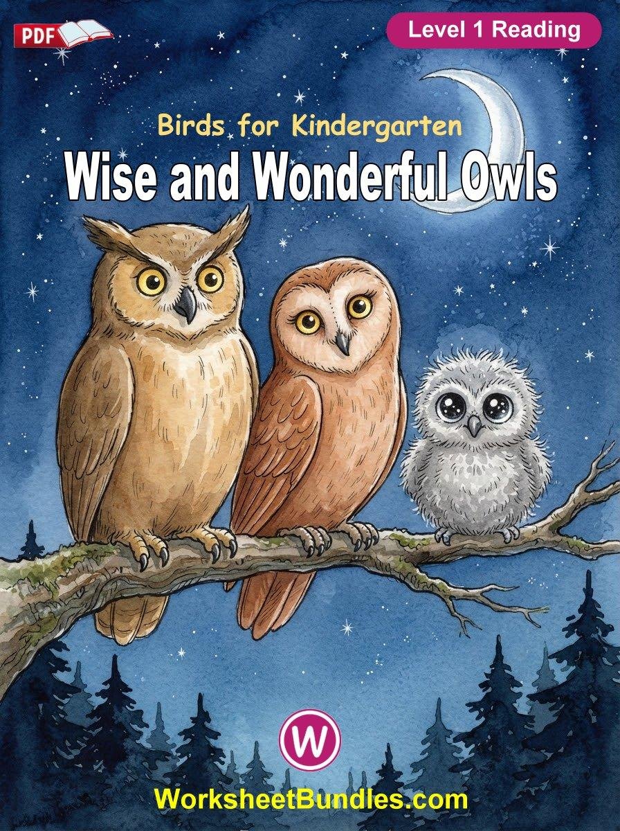 Wise and Wonderful Owls!